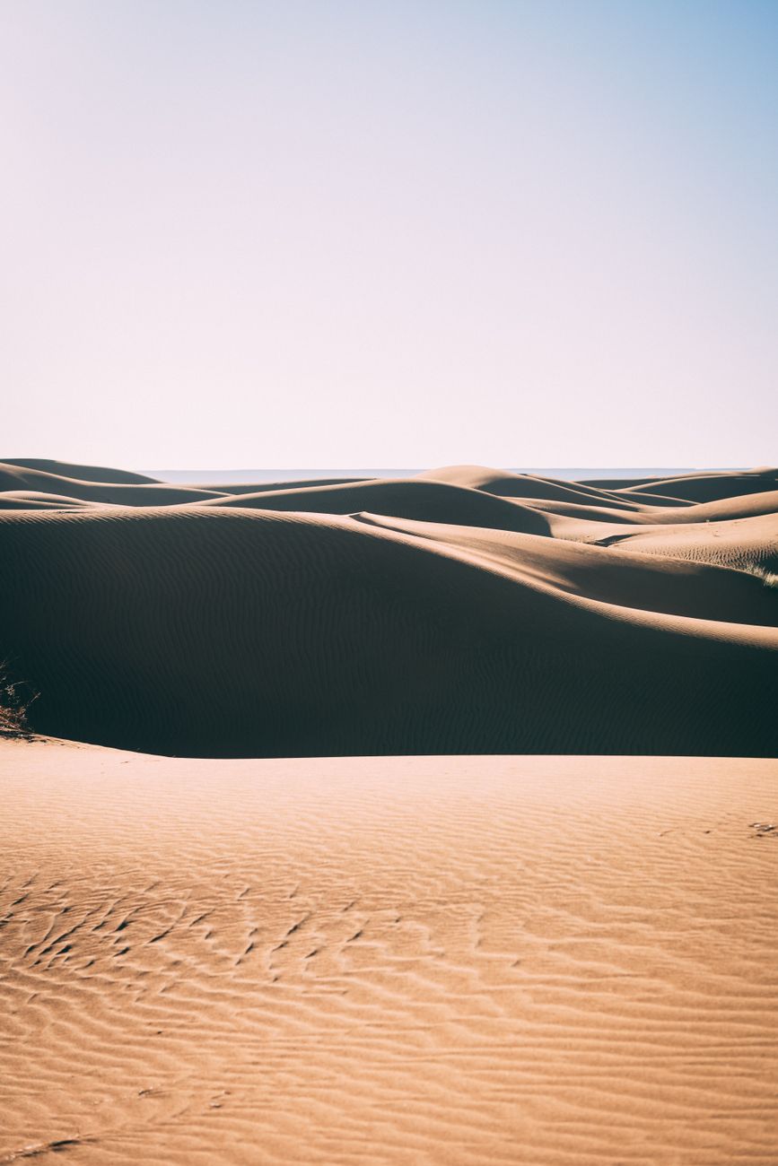 Santana — What the Desert Extracts